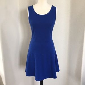 NWT sanctuary skater dress cobalt blue XL